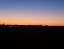 img 20191104 180316